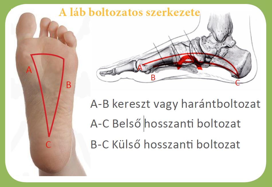 a lábujjak és a lábak ízületi kezelése)